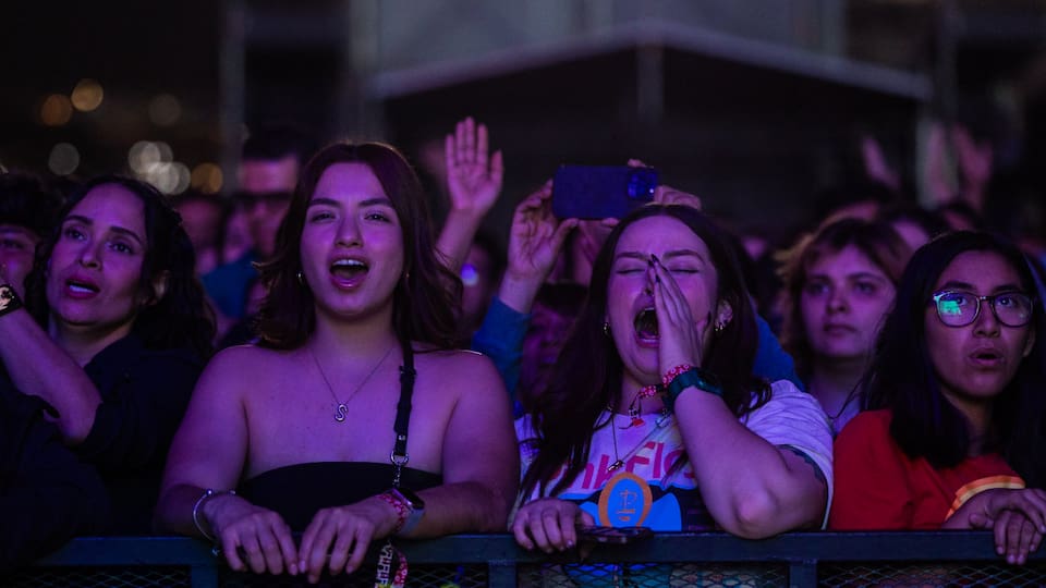 Público del festival compartiendo la energía frente al escenario.